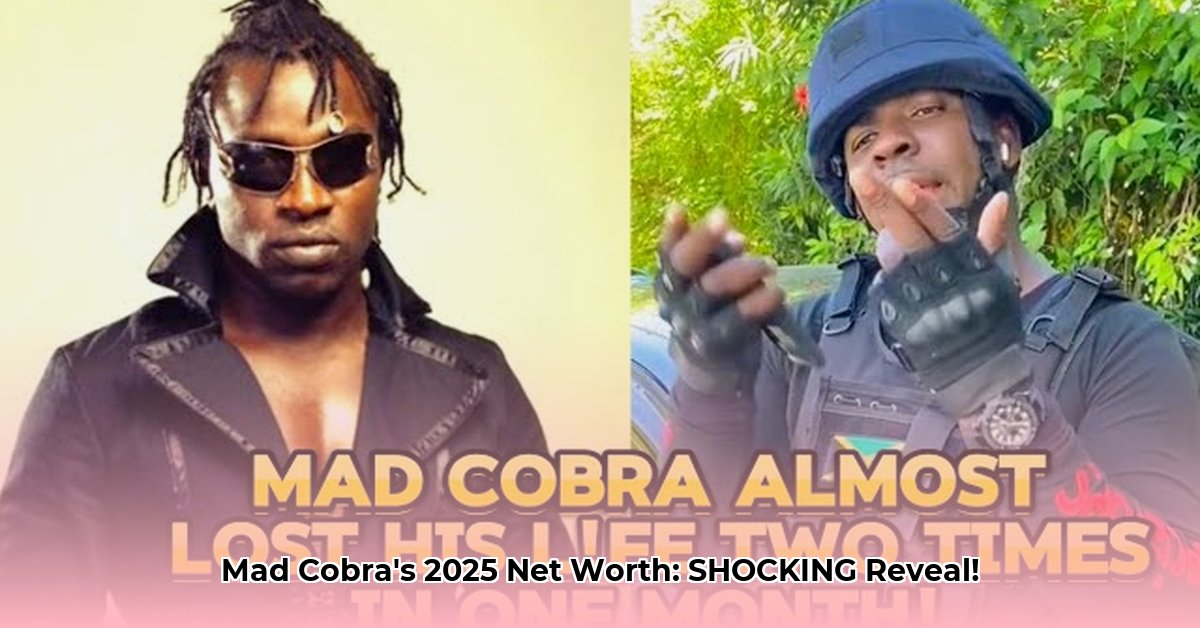 mad-cobra-net-worth